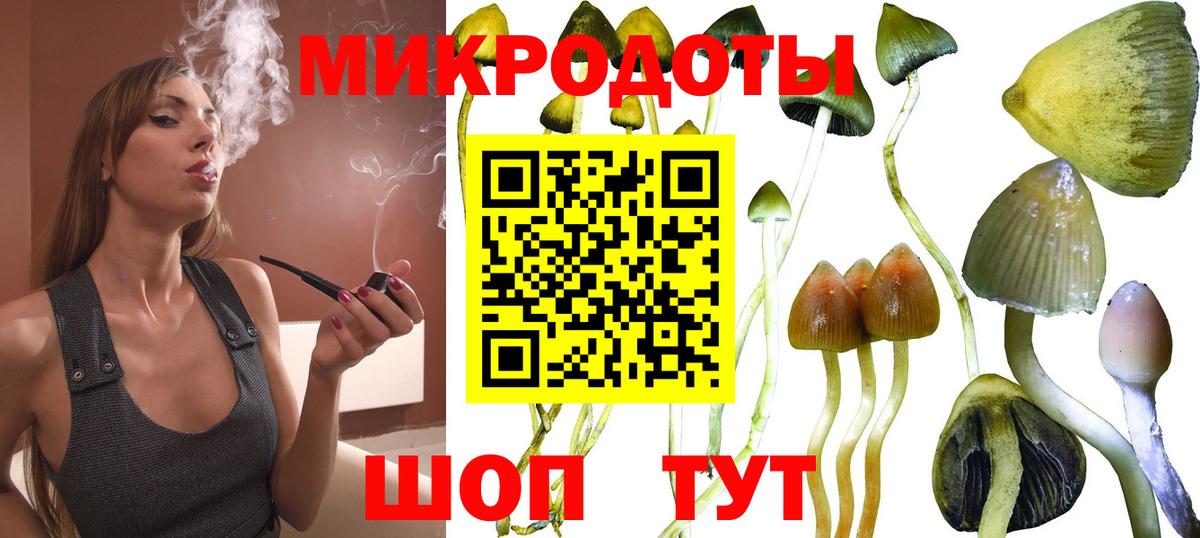 Псилоцибиновые грибы мухоморы  Вход с VPN  Псилоцибиновые грибы мухоморы  Нижнеудинск 
